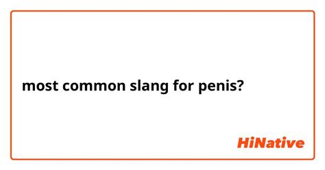 penis lustig|100 Slang